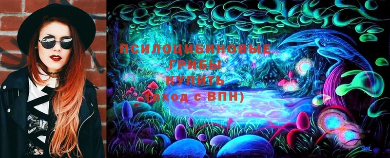 Галлюциногенные грибы Cubensis  даркнет сайт  Отрадная 